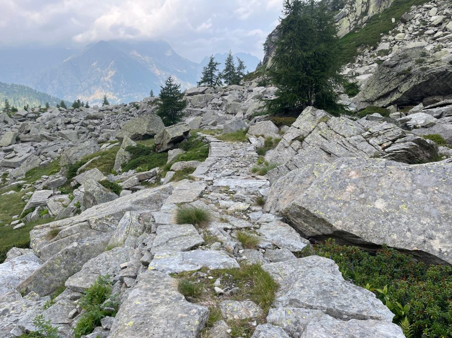 Val Vogna Steiniger Pfad zwischen Felsen und Pflanzen in bergiger Landschaft.